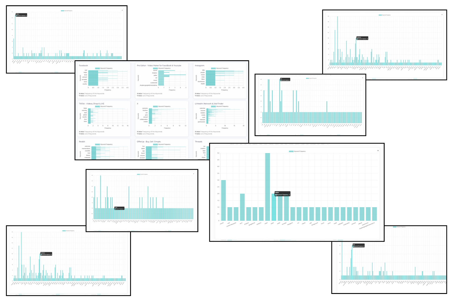 Competitor Overview & Keyword Comparison